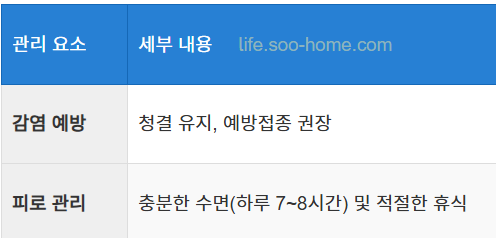 면역력 강화와 피로 관리