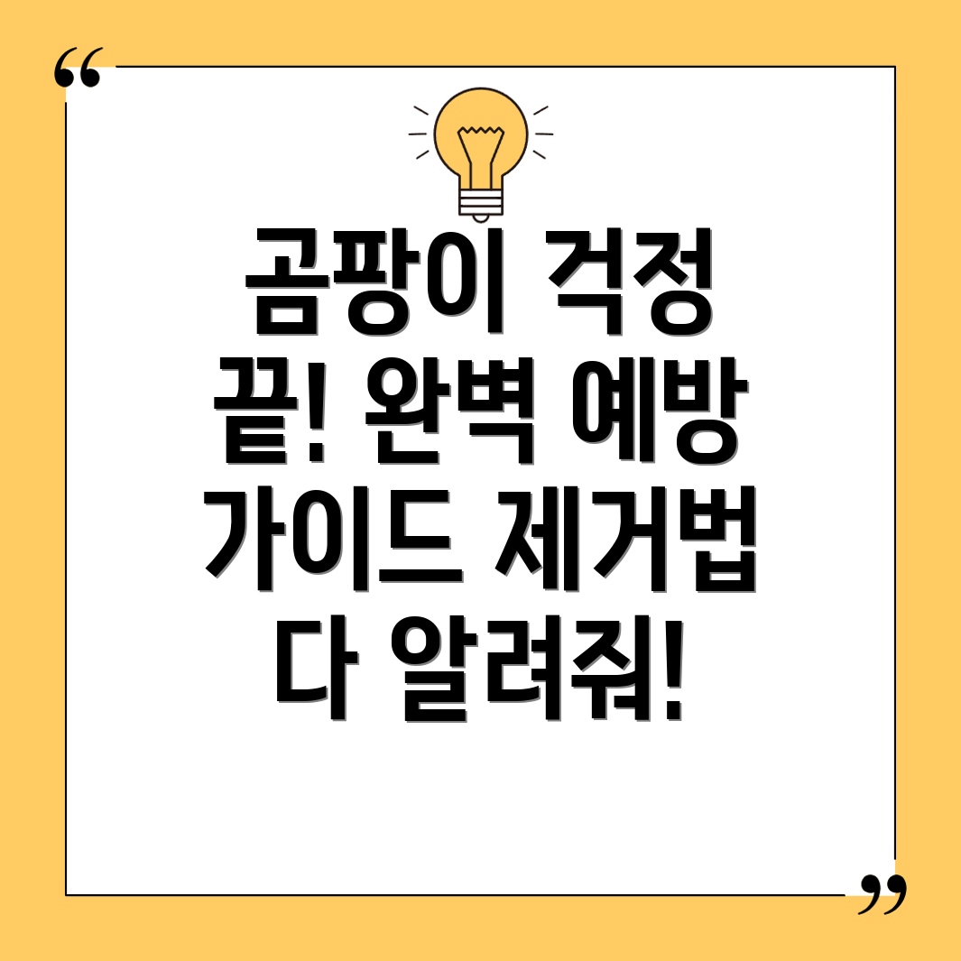 곰팡이 예방