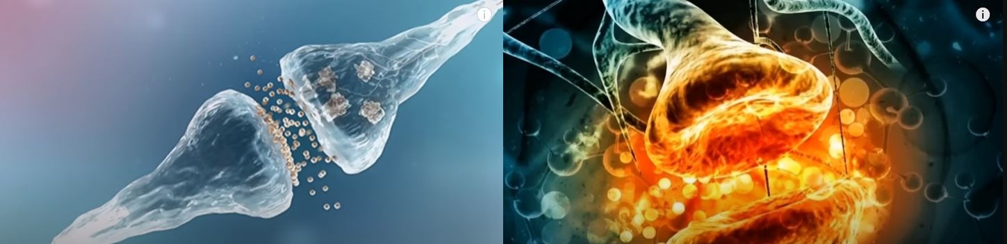 아연 영양제 추천