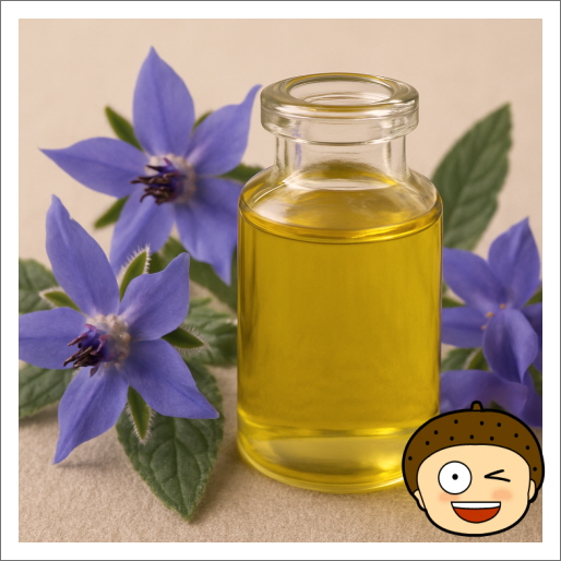 감마리놀렌산_보라지 오일