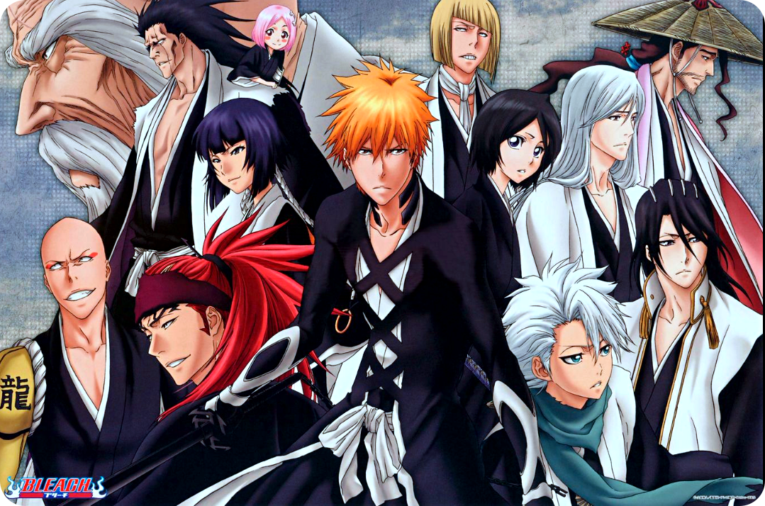 블리치 애니 순서15