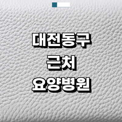 대전 동구 요양병원