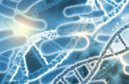 유산균 추천,프로바이오틱스