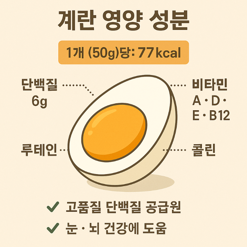 계란의 주요 영양성분을 요약한 이미지