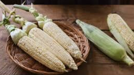 냉동 초당옥수수 찌는 법