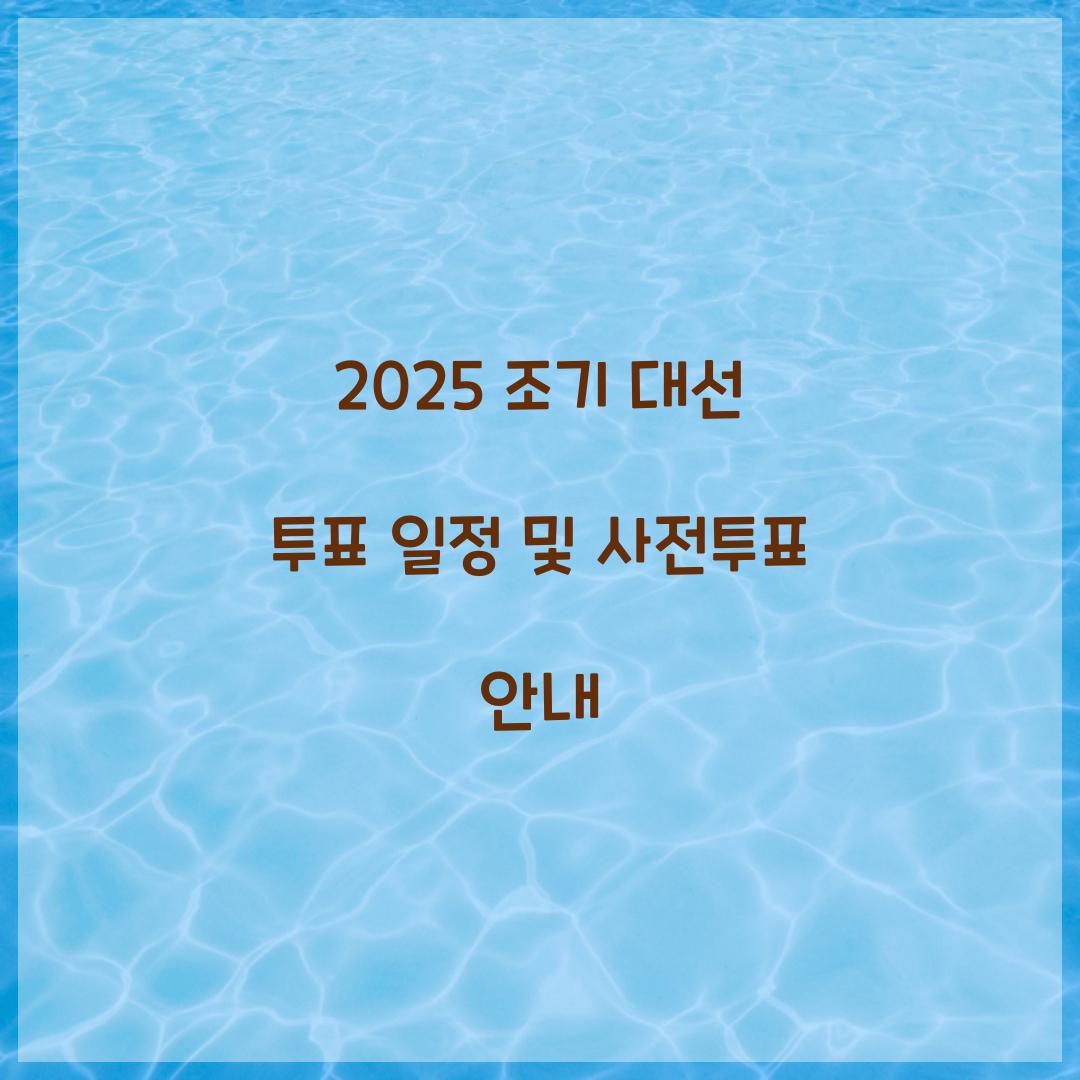 2025 조기 대선 투표