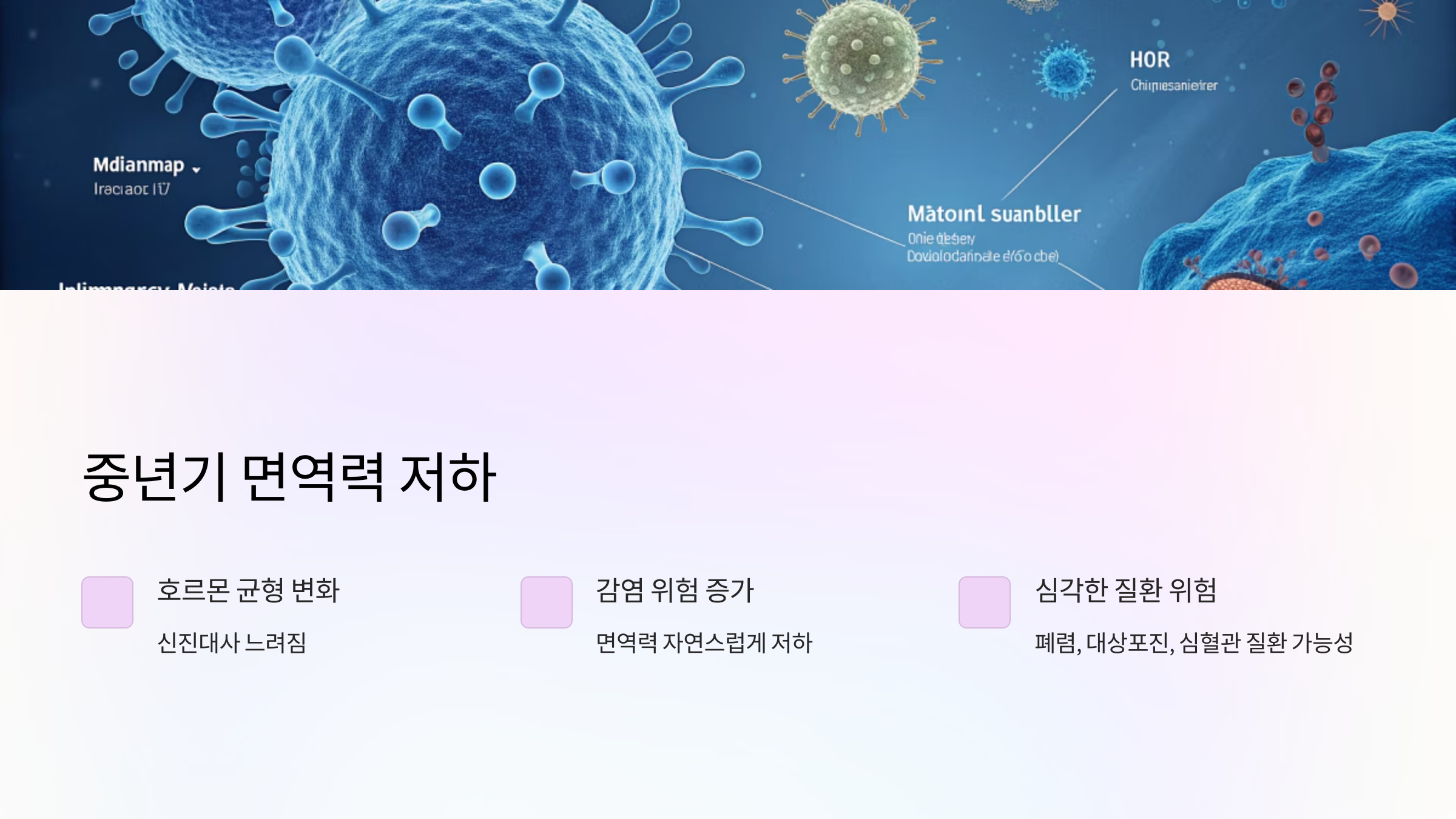 중년기 면역력 저하