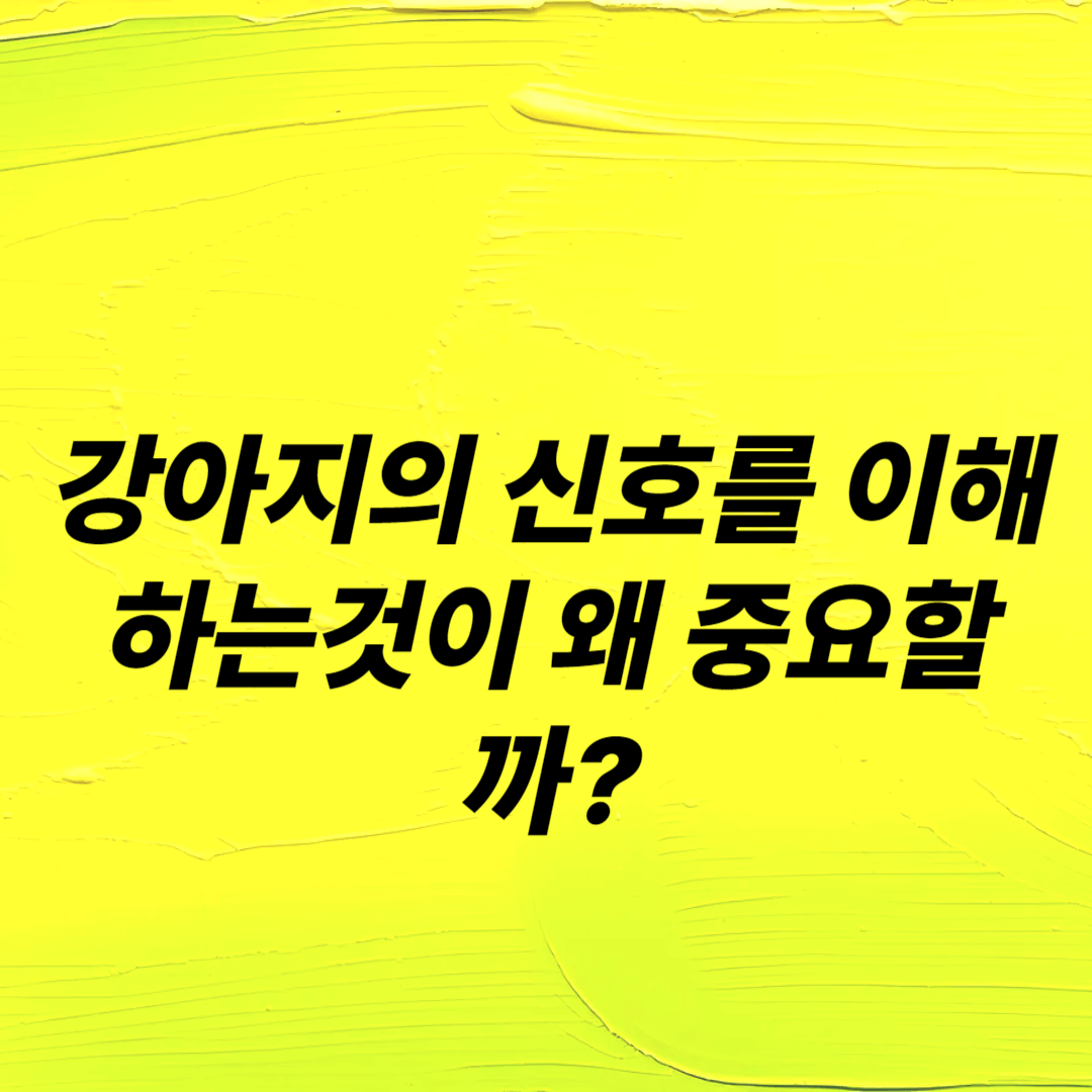 우리 집 강아지가 보내는 신호 해석하기 강아지 행동분석