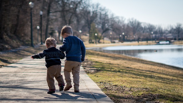 주택연금 월지급액 선택형 정리: 종신형&middot;확정기간형&middot;혼합형 비교 기준