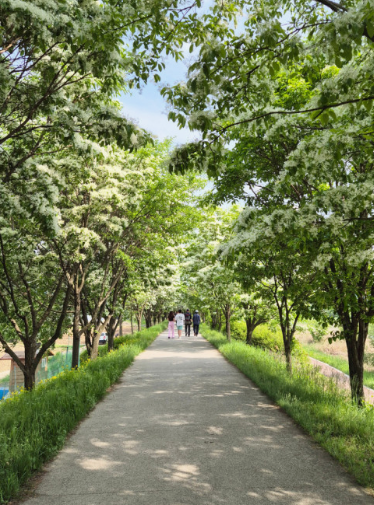 진천여행 가볼만한곳 BEST 10