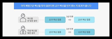 폐렴 예방접종 가격 시기