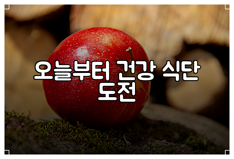 오늘부터 건강 식단 도전