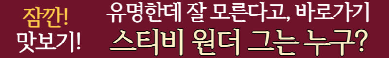 스티비 원더
