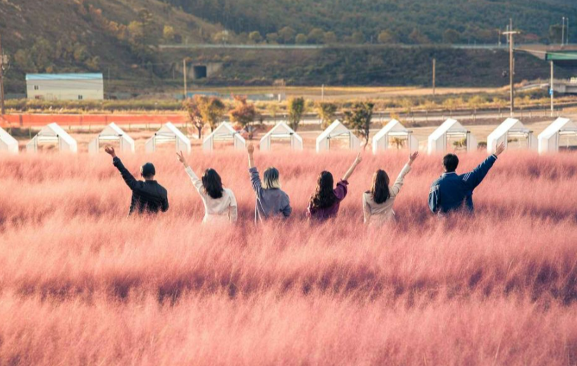 고창-꽃객프로젝트