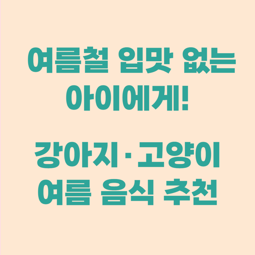 반려동물 여름 음식|더위에 지친 아이를 위한 건강한 선택