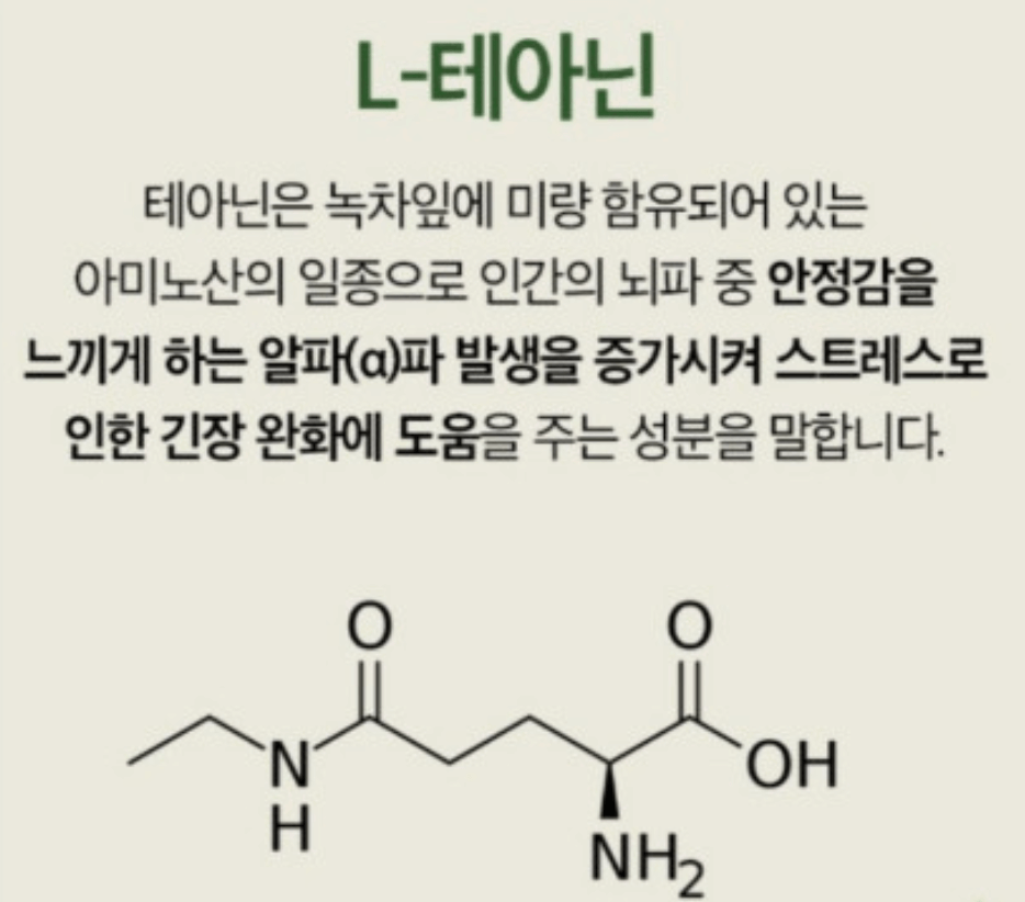 테아닌 효능