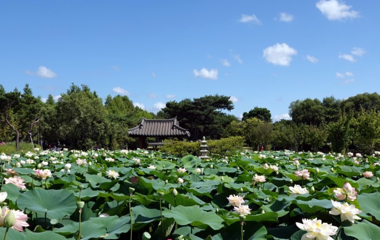 양평 두물머리, 세미원1