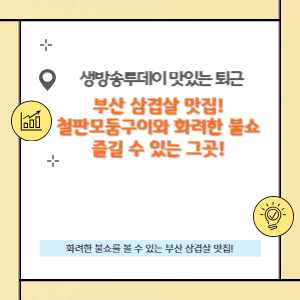 생방송투데이 맛있는 퇴근