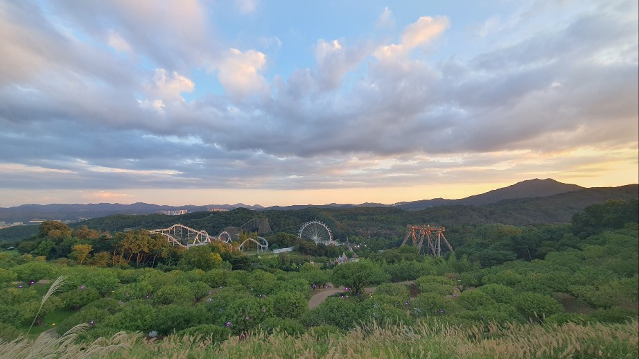꼭대기에서 본 풍경
