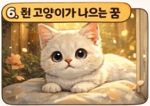 고양이 꿈해몽! 유형별 10가지 고양이 꿈해몽! 총정리!