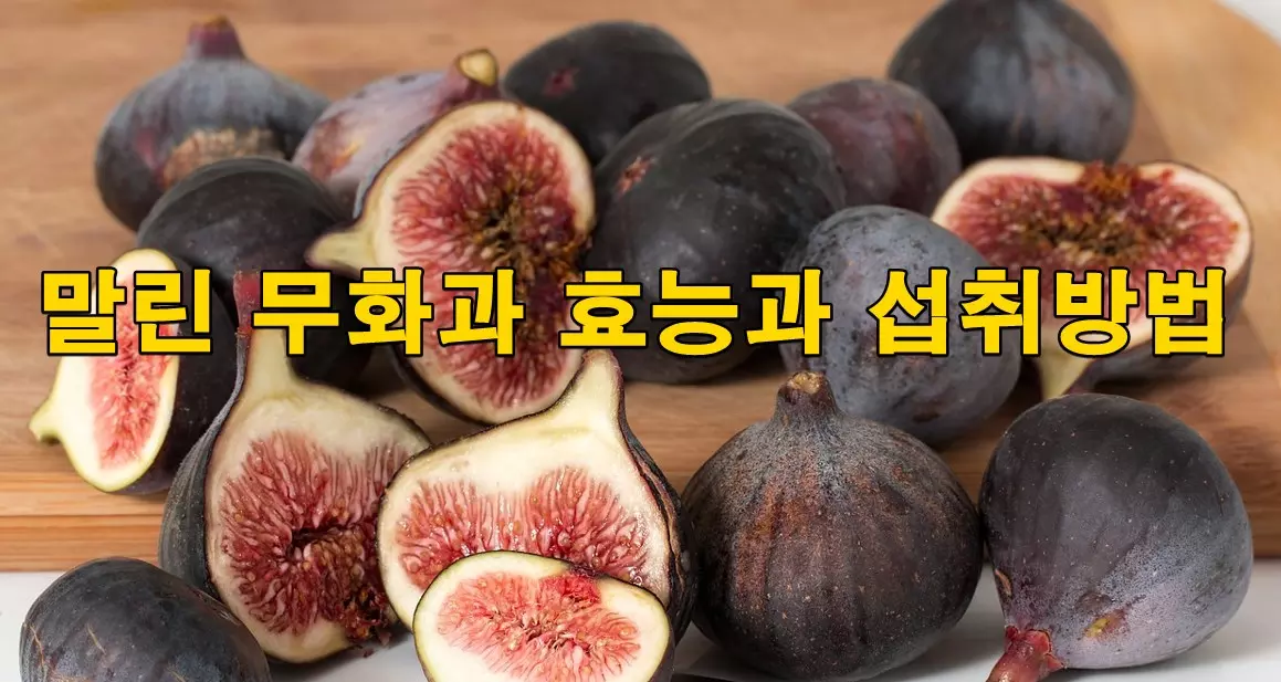 말린 무화과 효능과 섭취방법