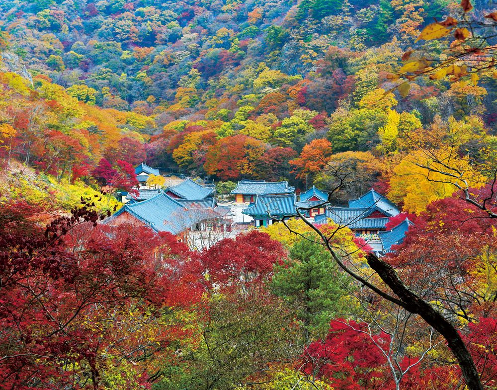 내장산 등산코스