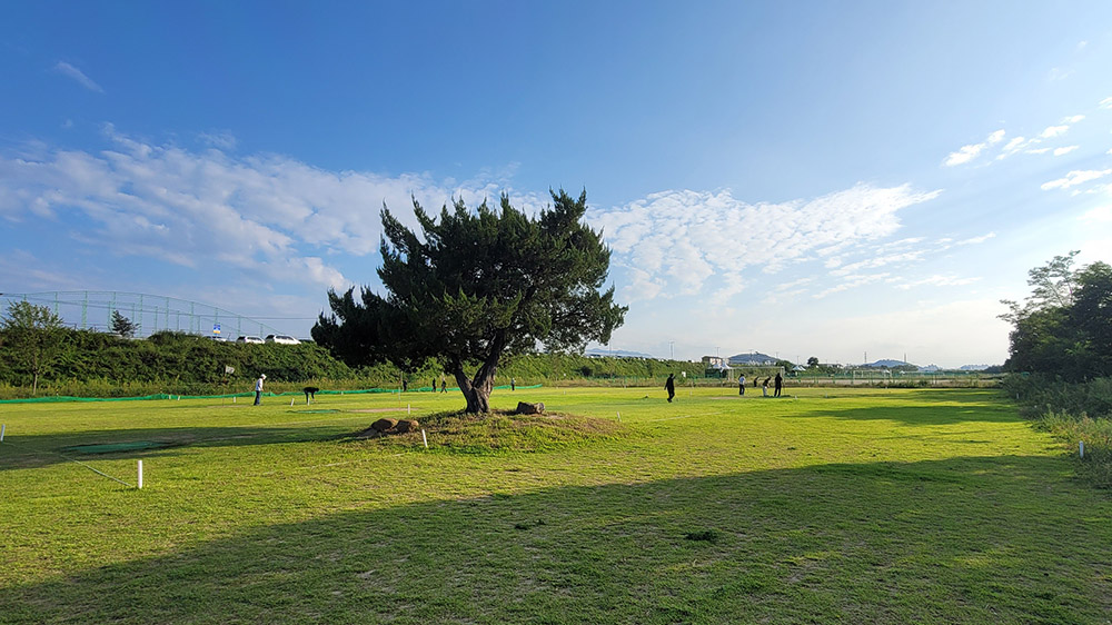 대구 검단파크골프장