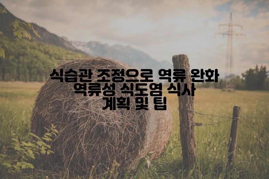 식습관 조정으로 역류 완화 역류성 식도염 식사 계획 및 팁