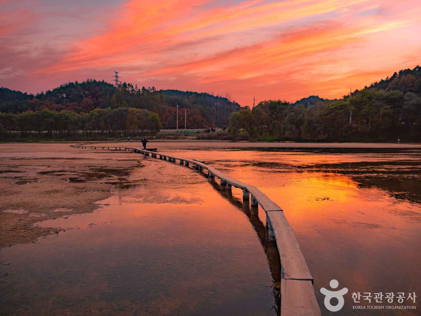 무섬마을 외나무다리