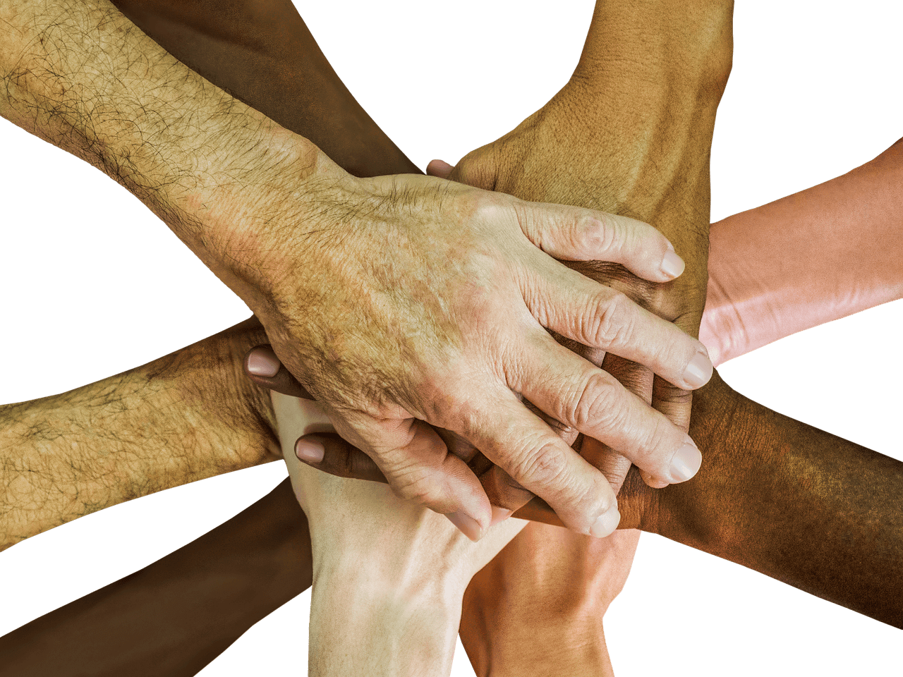 정신분열증(조현병)의 증상과 원인&#44; 특징 및 치료법과 좋은 음식 알기