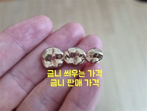 금니가격