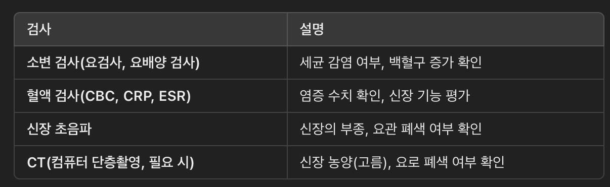 신우신염 진단 방법