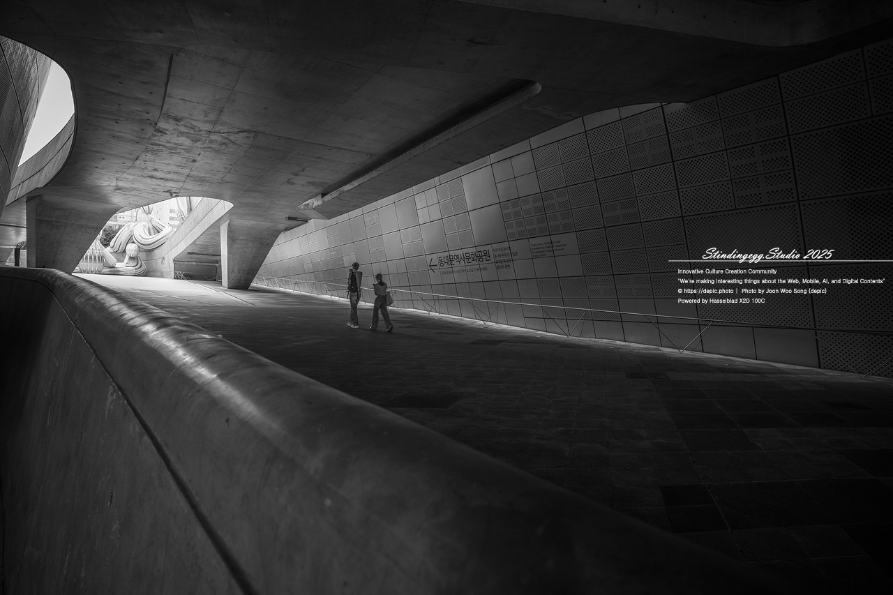 #서울 #동대문디자인플라자 #패션 #디자인 #DDP