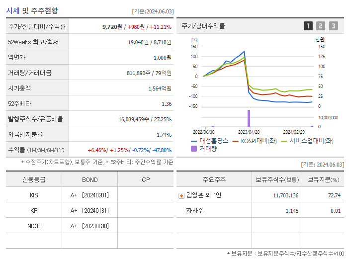 대성홀딩스_기업개요