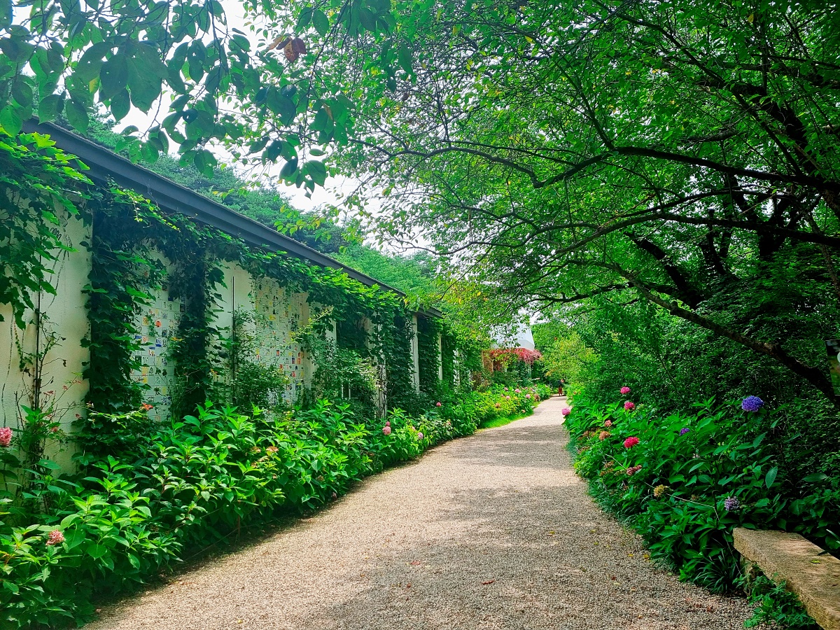 충남 당진 아미미술관: 현대미술, 수국, 야외 조형물, 인스타그램 감성 포토존