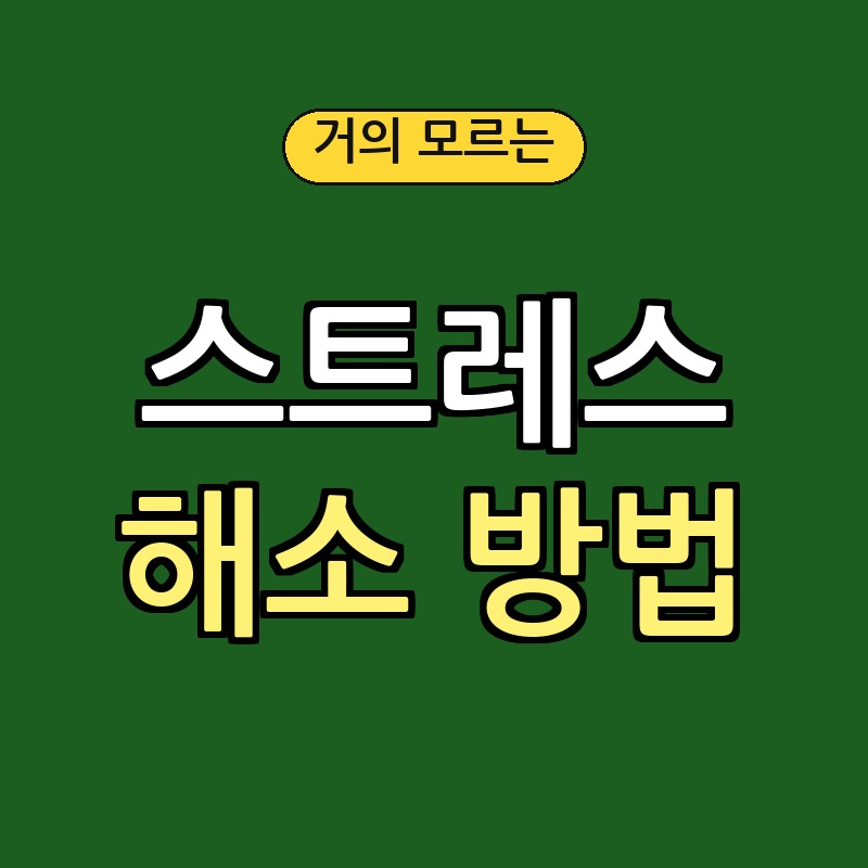 현대인의 스트레스 해소법 5가지