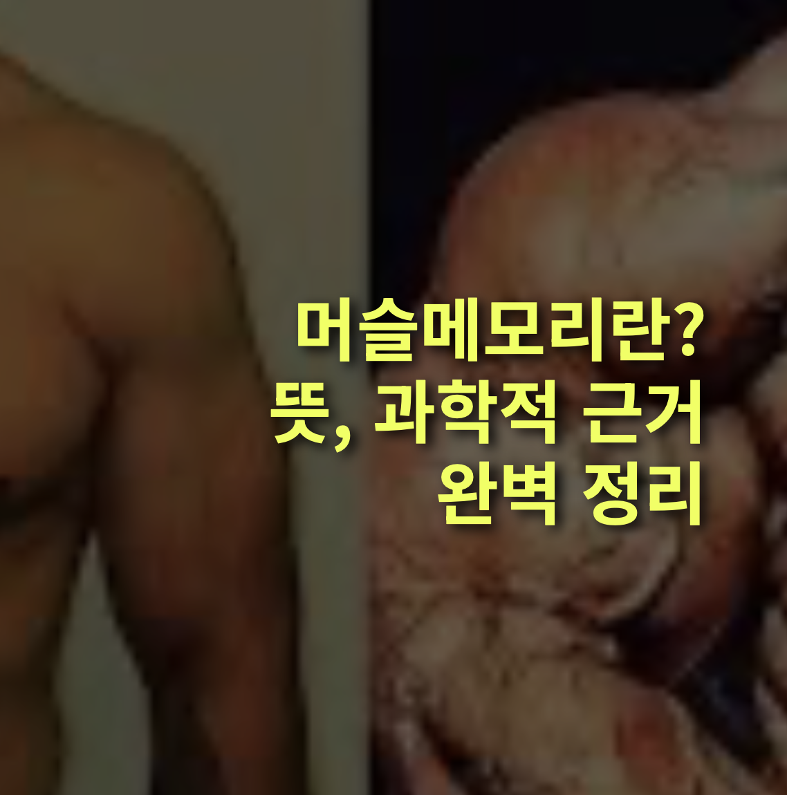 머슬 메모리란? 뜻, 근거, 실제 사례 완벽 정리!