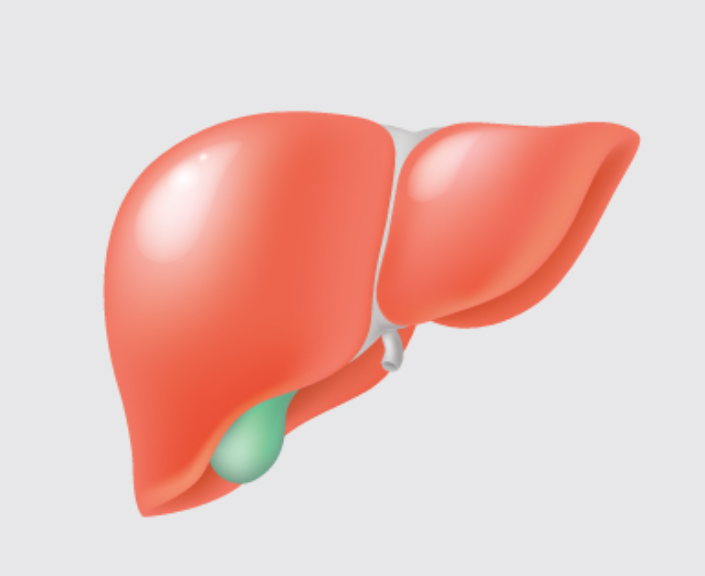 B형 간염 의 예방법