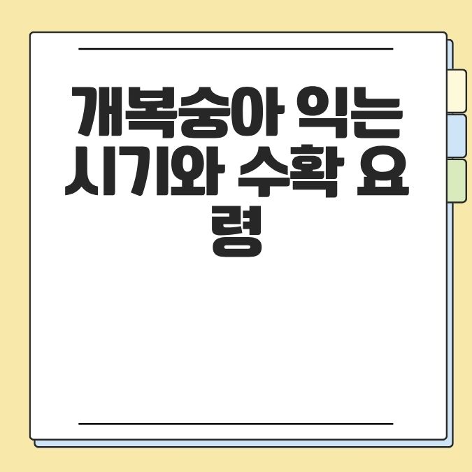 개복숭아 익는 시기와 수확 요령