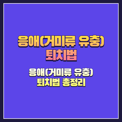 응애(거미류 유충) 퇴치법 총정리