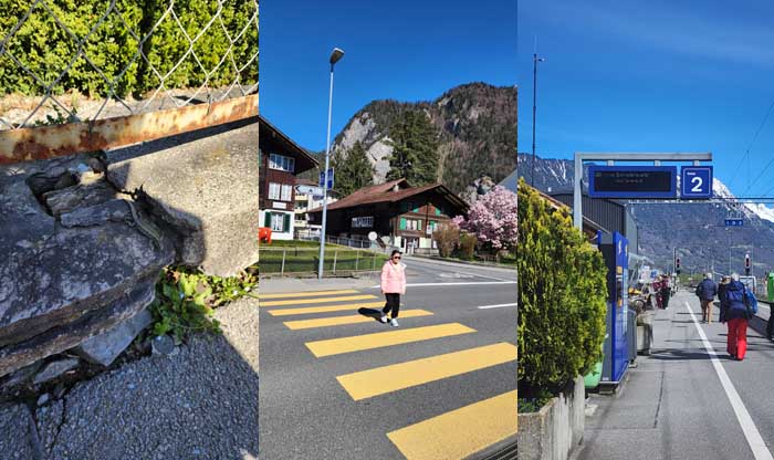 인터라켄에서 105번 버스를 타러 가는 길에 만난 도마뱀과 Wilderswil 역