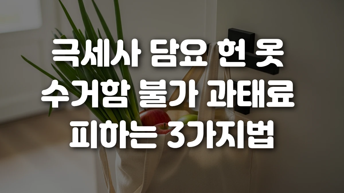 극세사 담요 헌 옷 수거함 불가 과태료 피하는 3가지법