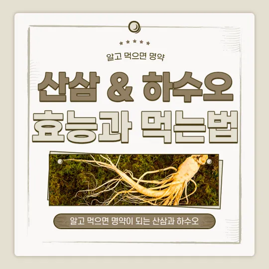 산삼과하수오