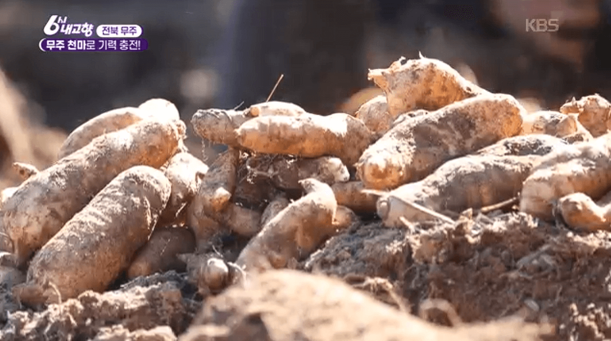 무주 천마 천마고 농축액 천마즙 &amp;#39;쓰러지면 천마니&amp;#39; 택배 배송 연락처 총정리