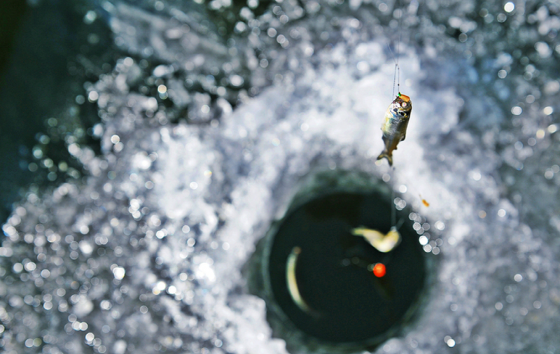 강화 양오낚시터 빙어축제