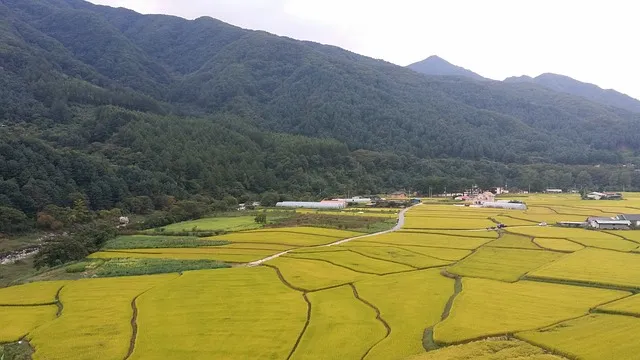 가평 가볼만한곳 베스트10 완벽 힐링 여행_2