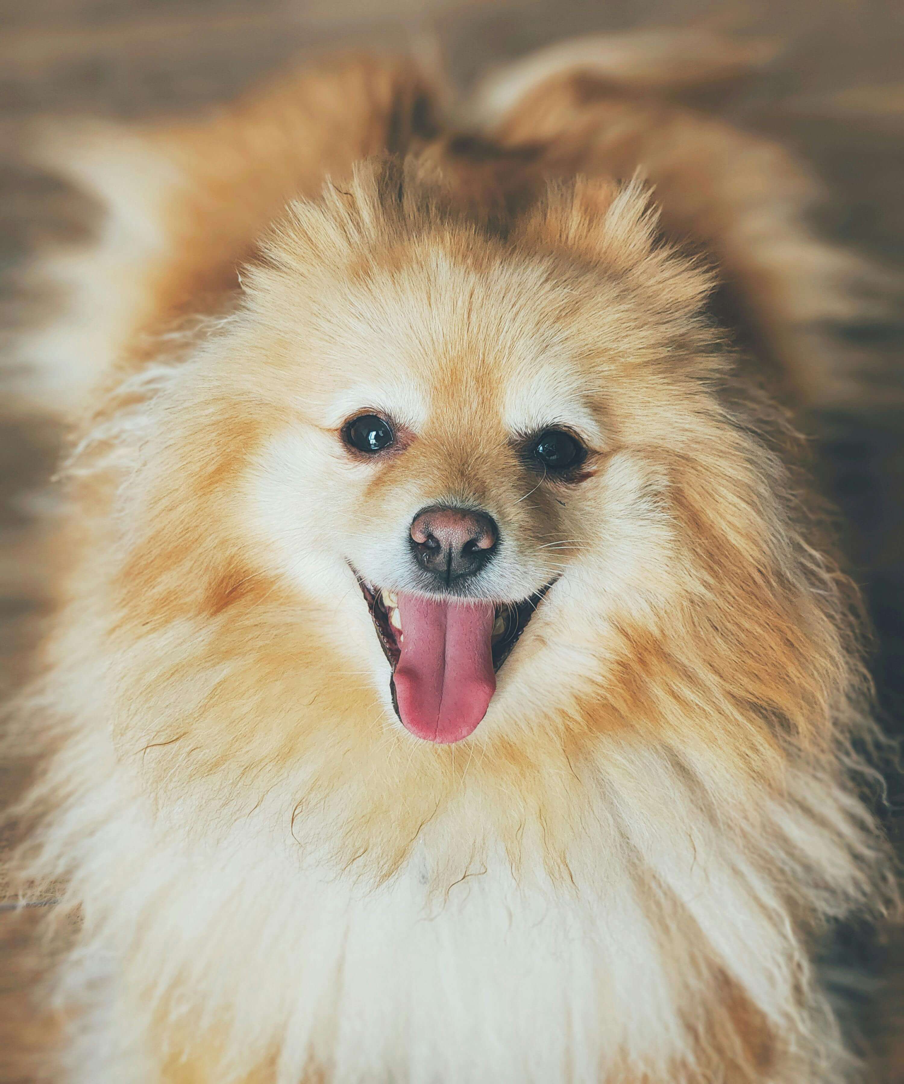 보험료 30% 줄이고 보장은 유지하는 법｜2025년 실전 절약 가이드