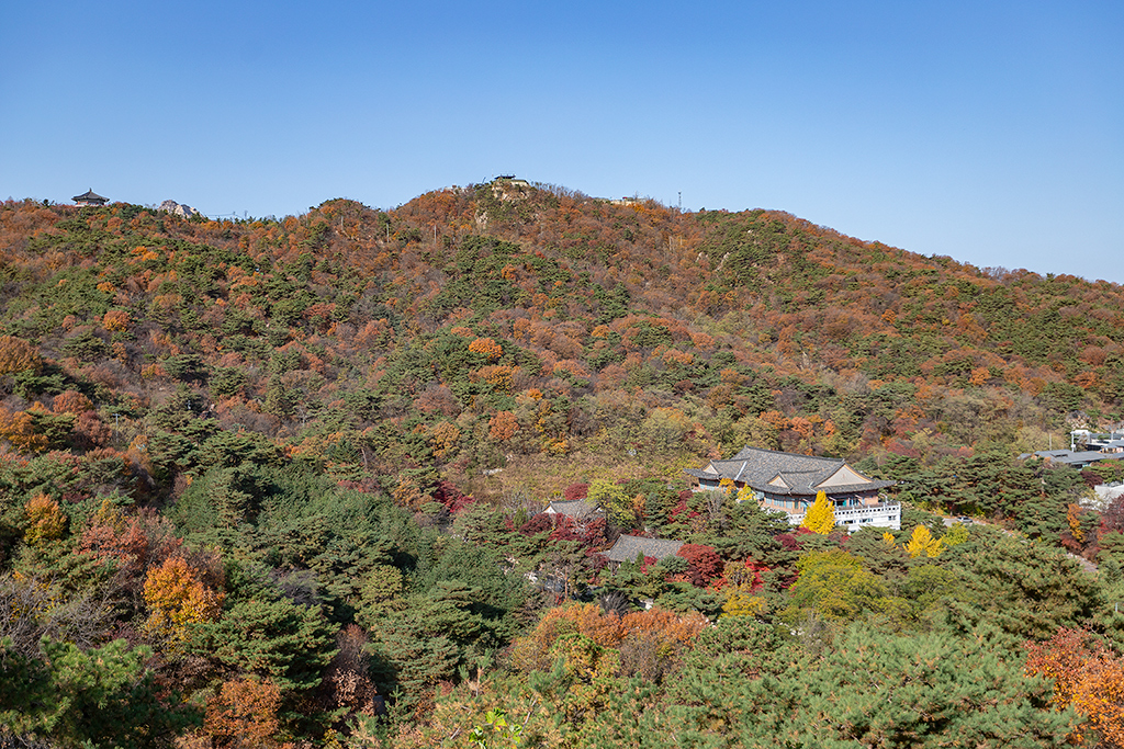 한양도성길
가을풍경
가을단풍
백악구간
서울여행
서울풍경
서울성곽길
청운대
말바위
숙정문