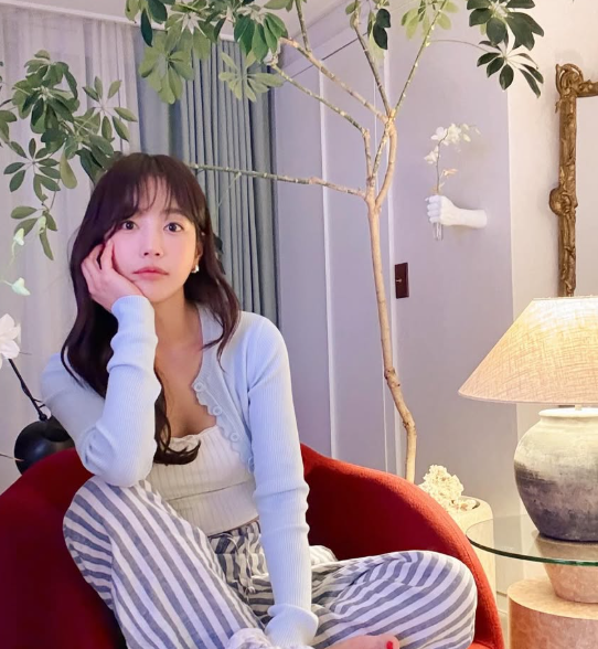 기은세 프로필