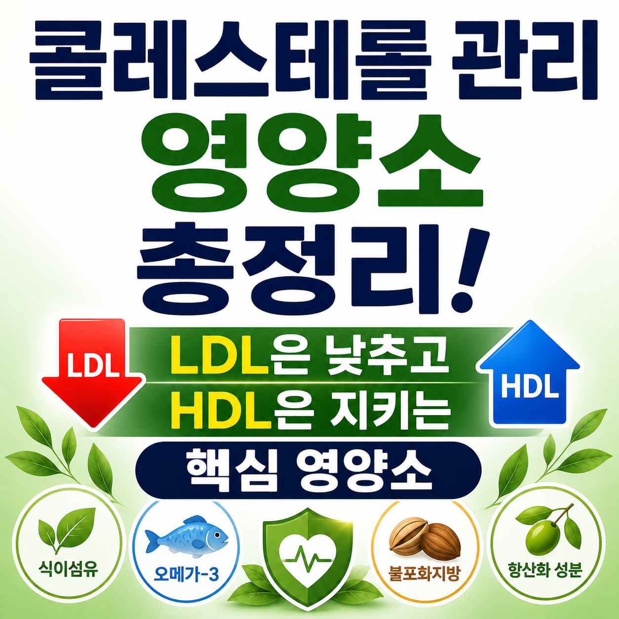 콜레스테롤 관리 영양소